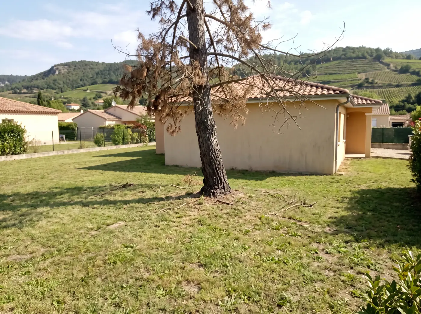 Avant : Abattage d'un arbre devenu dangereux
