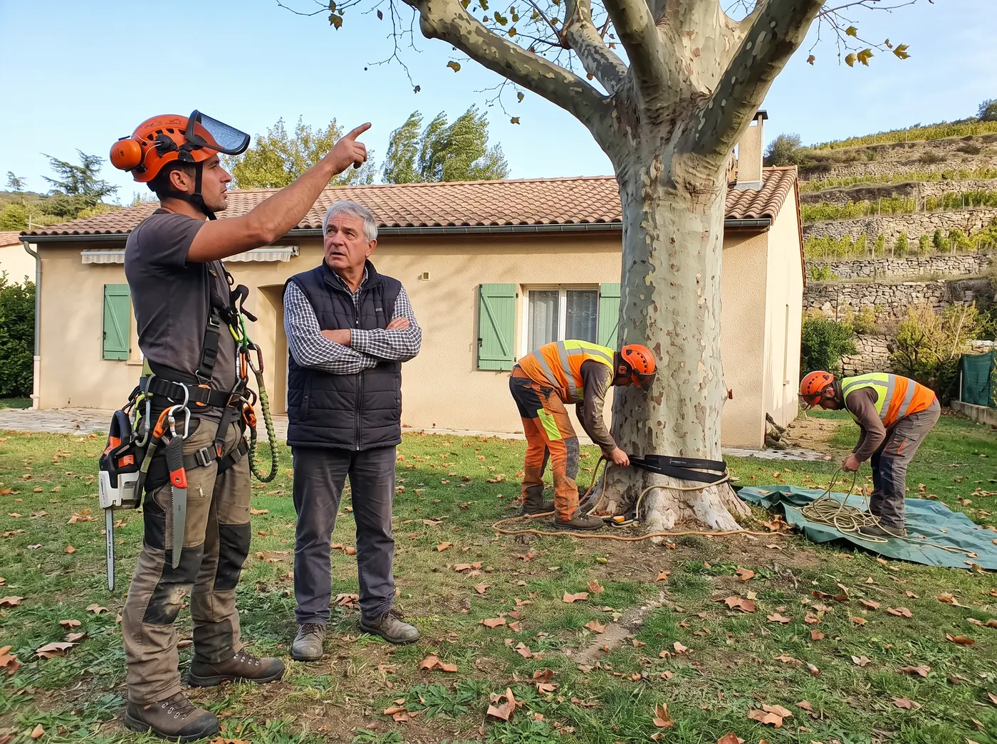 Élagueur professionnel encordé taillant un arbre dans un jardin de Drôme-Ardèche